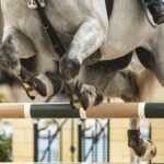 equestrian paralympics 2024 2024