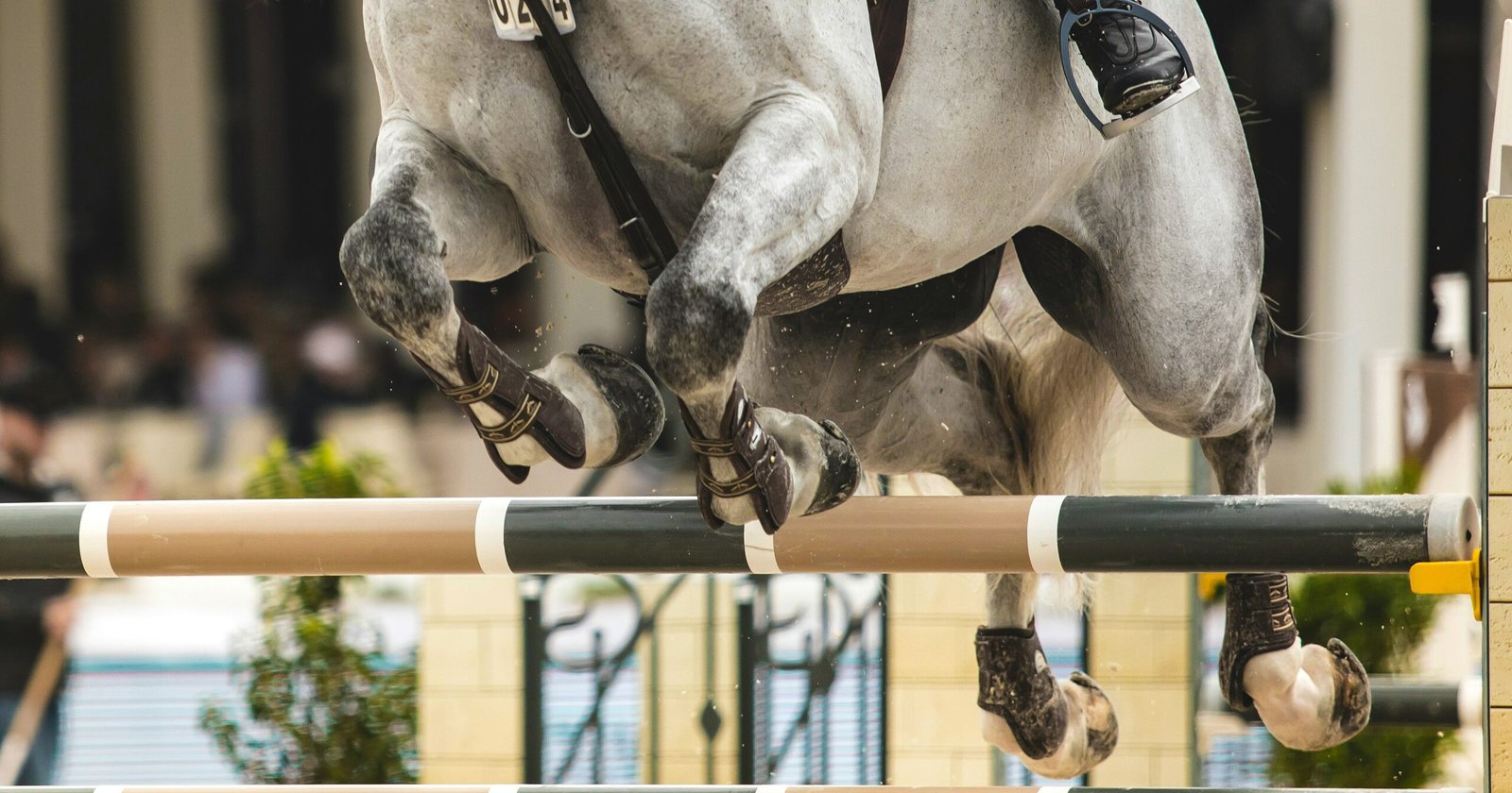 equestrian paralympics 2024 2024